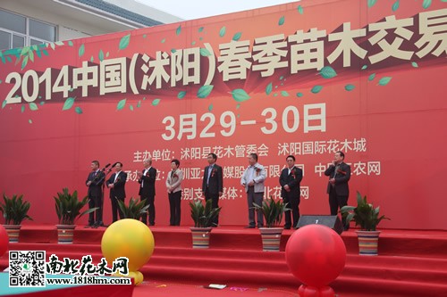 沭阳春季苗木买卖对接会揭幕式