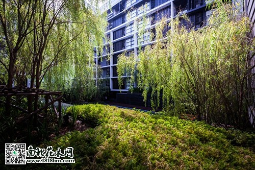 优异景观工程设想赏识6