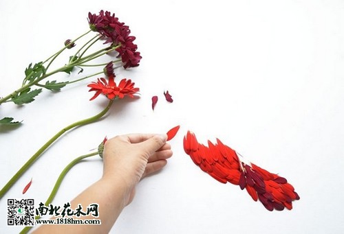 “花鸟”艺术品赏识2