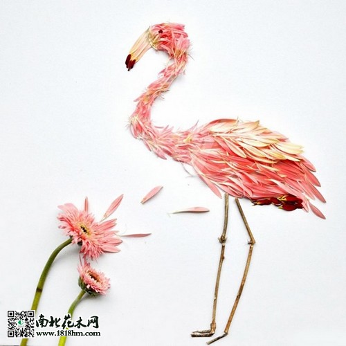 “花鸟”艺术品赏识3