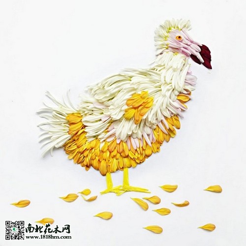 “花鸟”艺术品赏识5