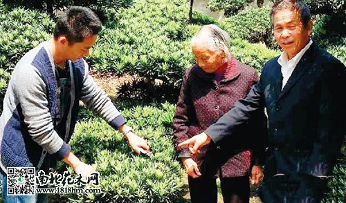 一家三代花木莳植史