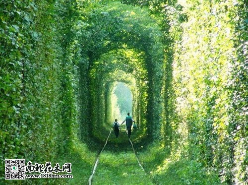 动物地道4