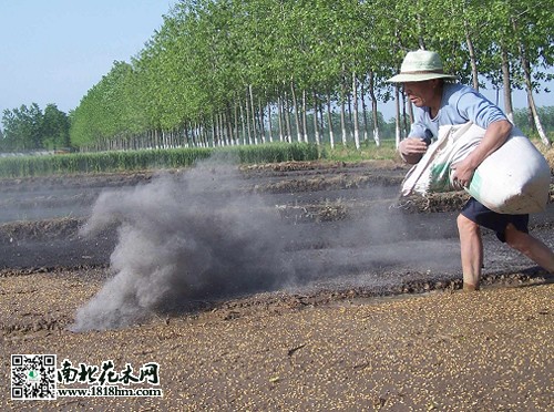 草木灰的感化