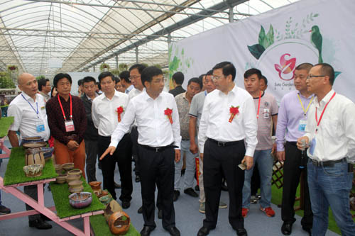中国花草协会副秘书长陈建武观赏沭阳国际花木城