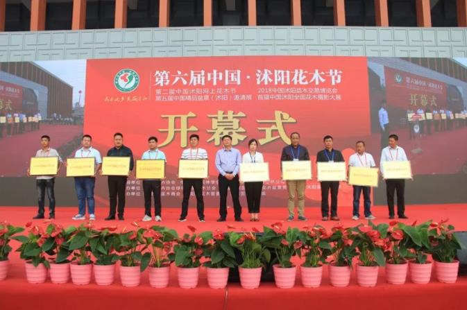 360截图20190812171931228