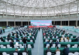 2023年国际盆景大会年度主展览将于9月底在沭阳进行